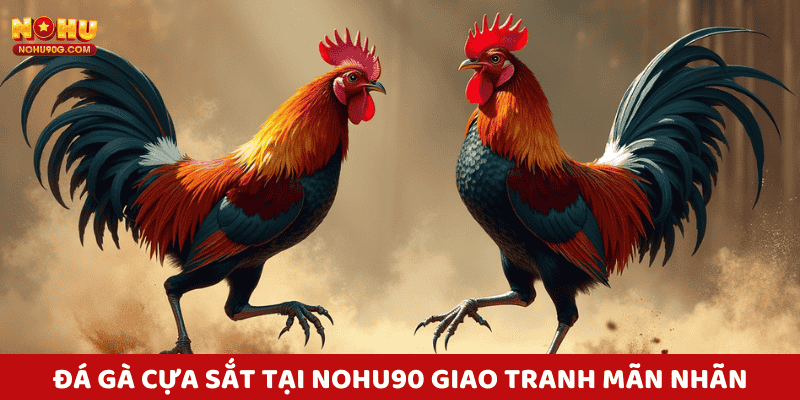 Tổng quan về trò chơi đá gà nohu90